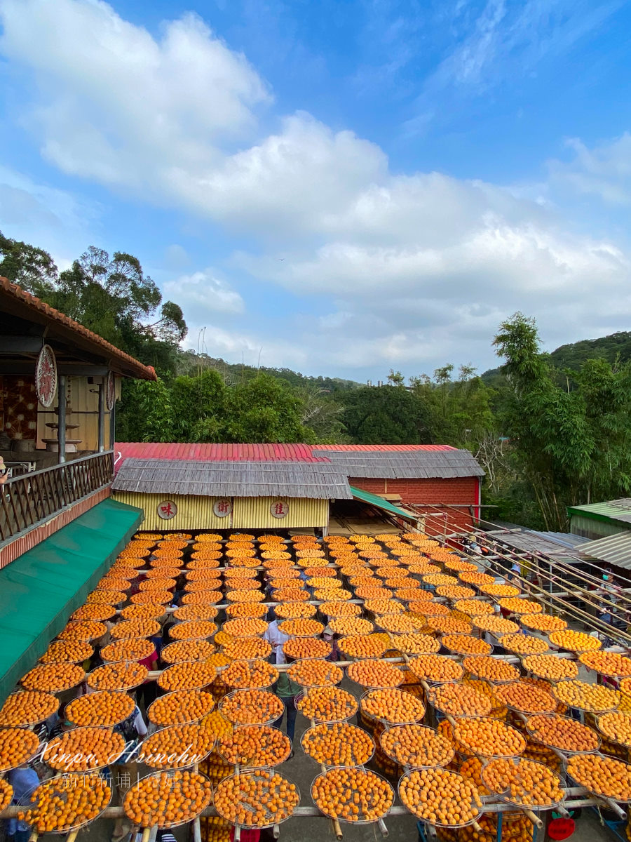 【新竹新埔景點一日遊】推薦柿餅園區/ 成功街老街/ 客家美食，超適合親子戶外踏青行程