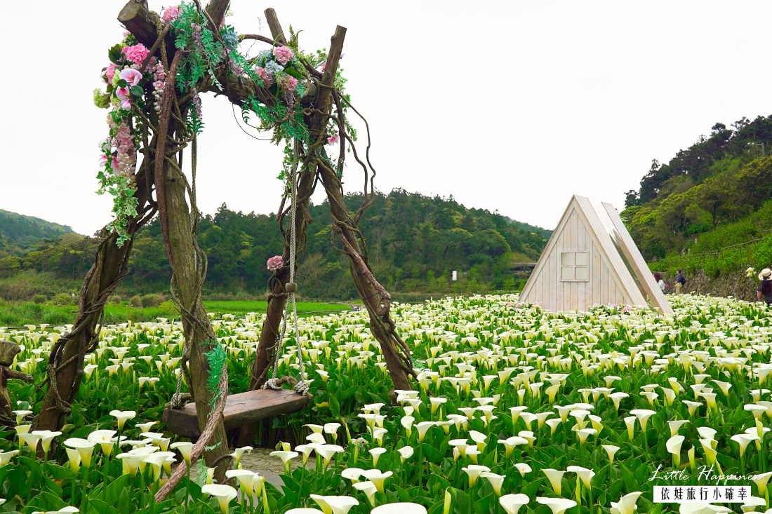 【2023年陽明山海芋季】推薦名陽匍休閒農莊有浪漫造景，記得跟小木屋與鞦韆合影，拍出白色系打卡網美照