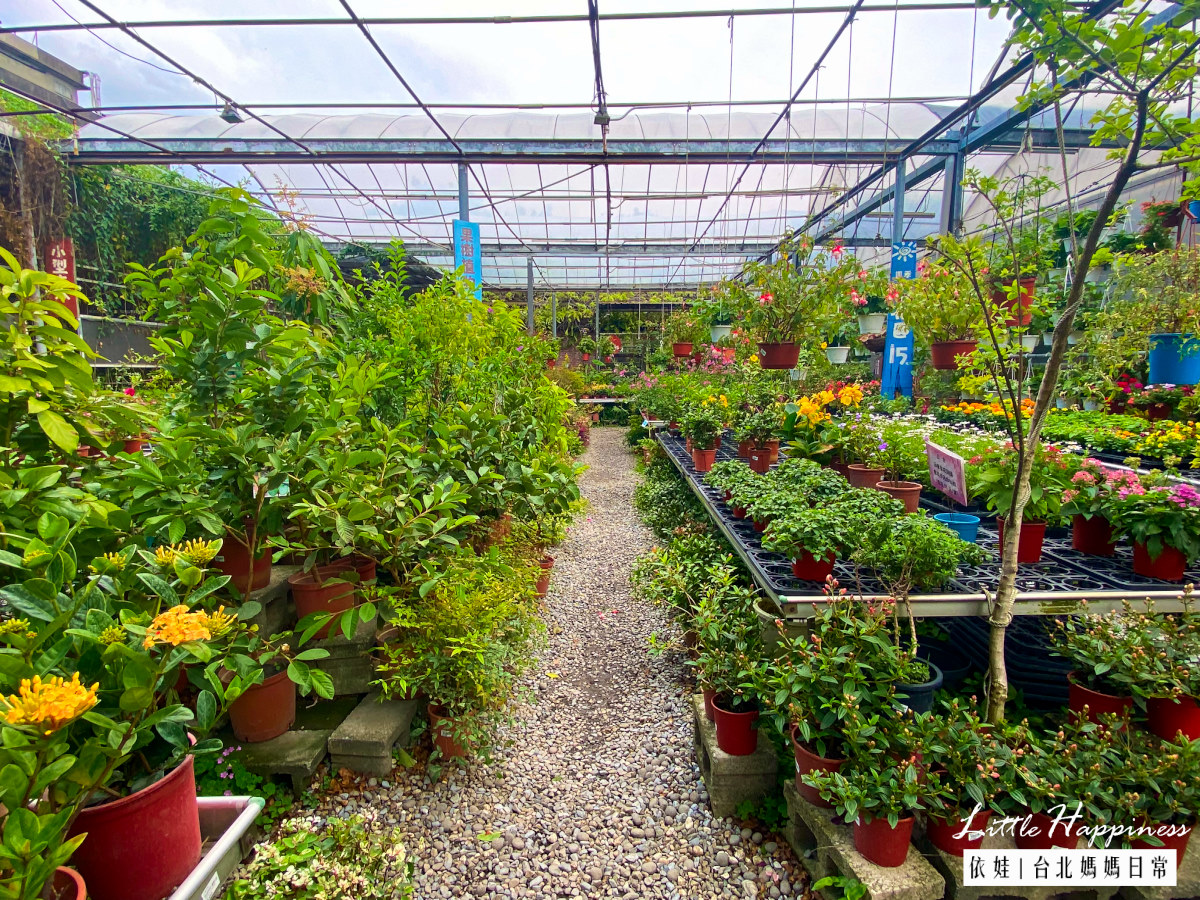 【台北景點】台北花卉村紫藤花季秘境很好拍，還有森林系咖啡廳，花草盆栽超好買，順路吃美食