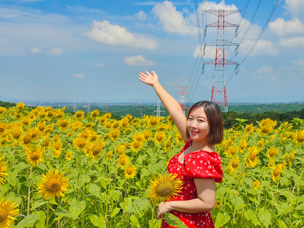 ZIIP HALO 奈米微電流美膚儀開箱，歐美正夯全球唯一結合使用奈米微電流™和 微電流（雙波形技術™）的家用美容儀。