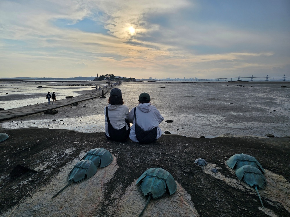 金門建功嶼夕陽美景免費景點，「金門的摩西分海」走在海上步道和牡蠣人裝置藝術拍美照，還有鱟與招潮蟹濕地生態