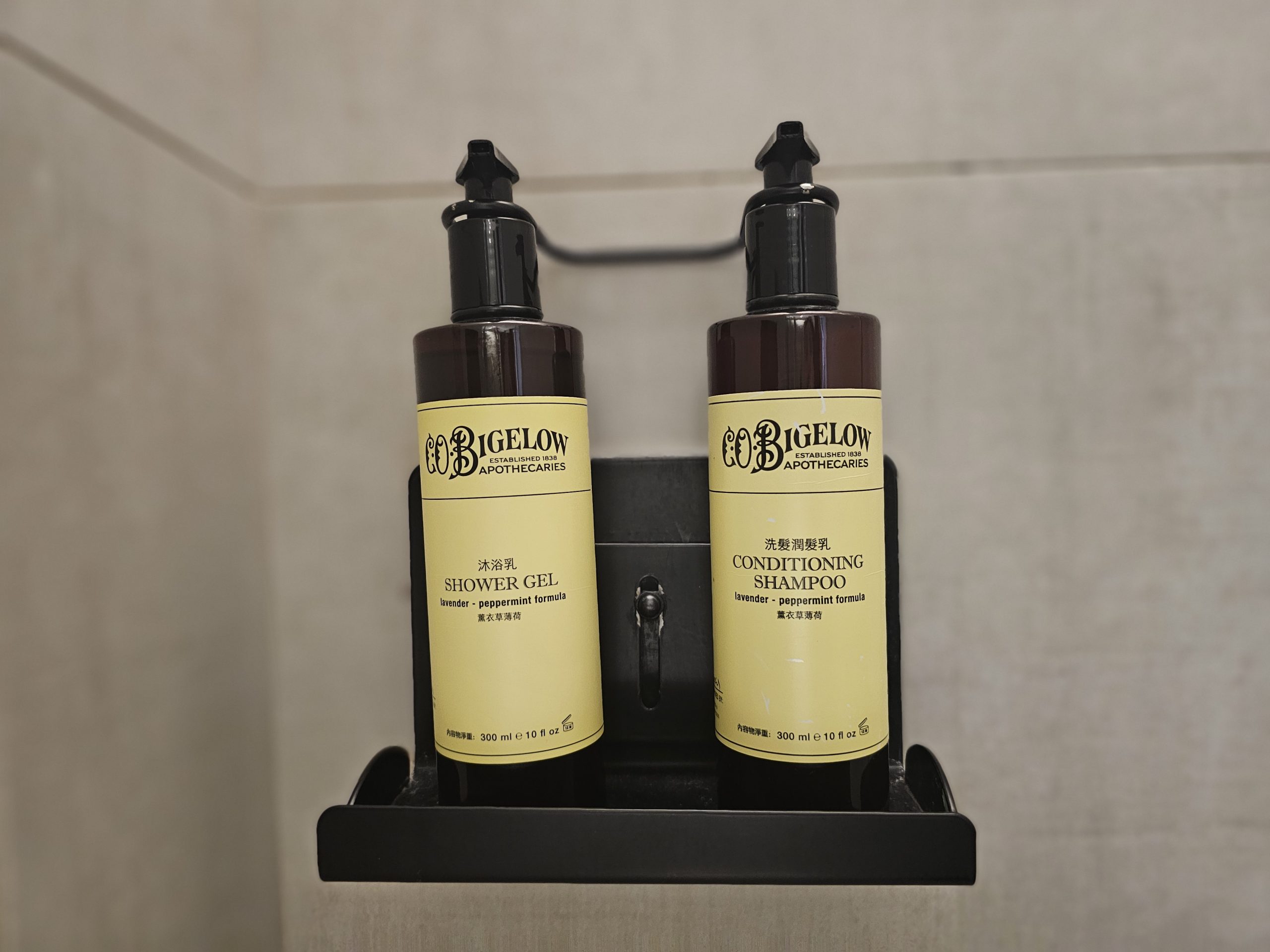 長榮文苑酒店嘉義評價，嘉義五星級親子飯店，遊戲室、電動車、故宮南院、無邊際泳池，豐盛自助餐早餐