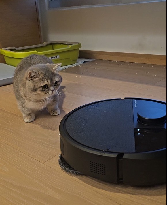 雜物多又有貓怎麼辦？iRobot Roomba Plus 405 Combo 掃拖機器人開箱！娘家養貓後的救星，滿地雜物也不怕