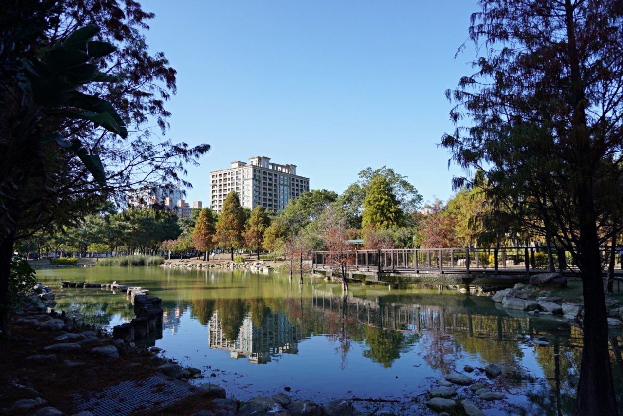 高雄落羽松景點，鼓山凹子底森林公園，體驗城市中的秘境療癒系散步路線