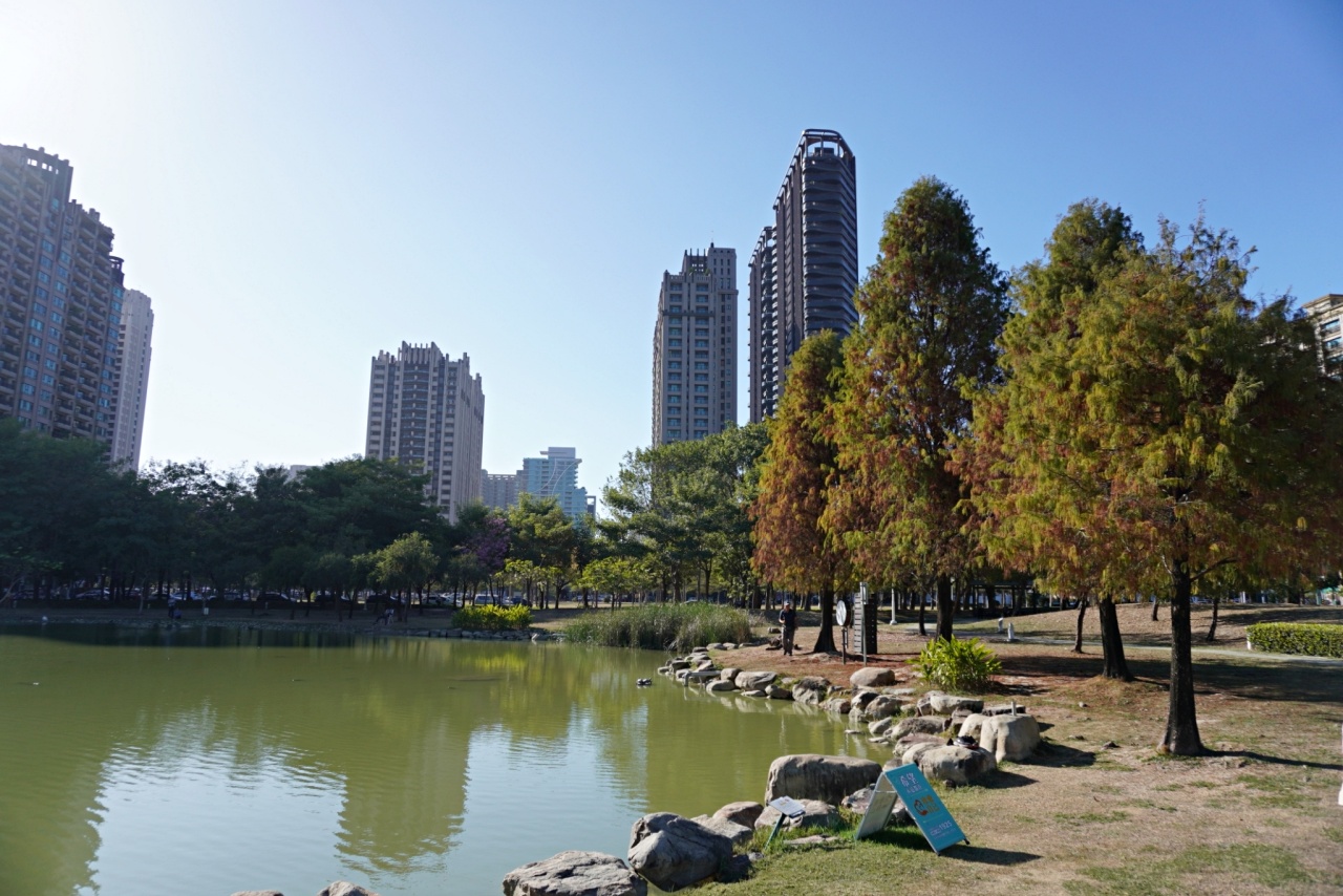 高雄落羽松景點，鼓山凹子底森林公園，體驗城市中的秘境療癒系散步路線