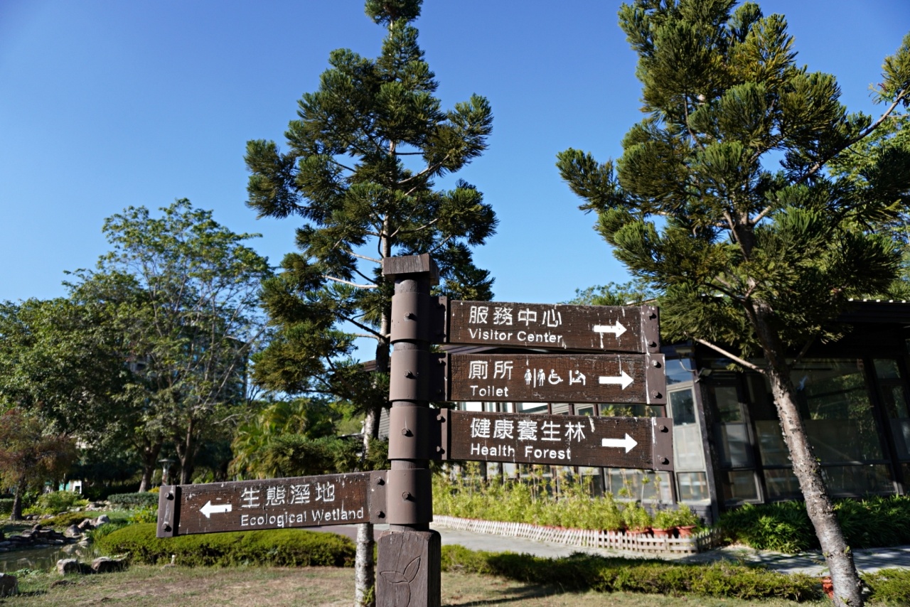 高雄落羽松景點，鼓山凹子底森林公園，體驗城市中的秘境療癒系散步路線