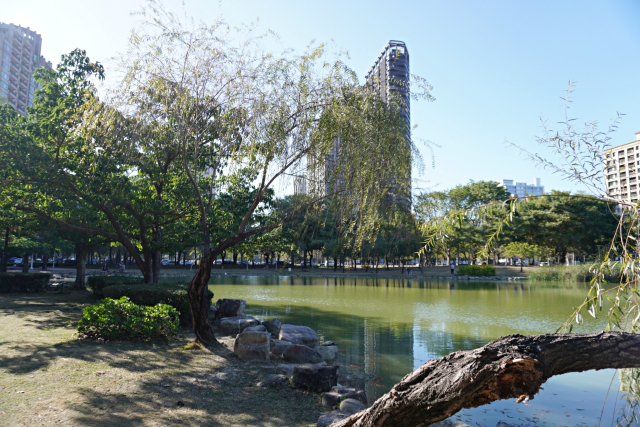 高雄落羽松景點，鼓山凹子底森林公園，體驗城市中的秘境療癒系散步路線