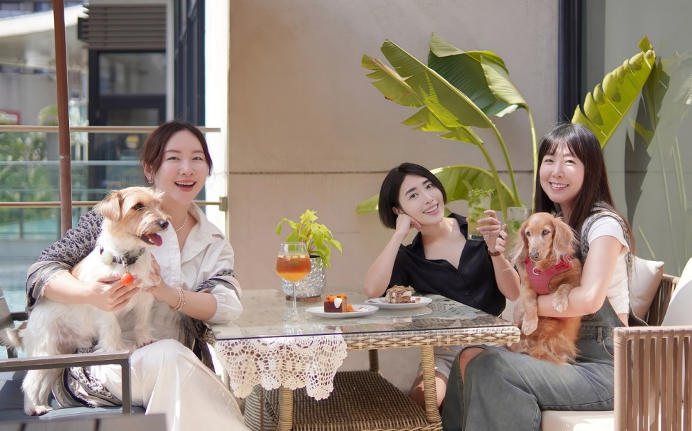三井outlet美食推薦吐司利亞TOASTERiA CAFE，地中海料理健康無負擔，水池美景、親子寵物友善