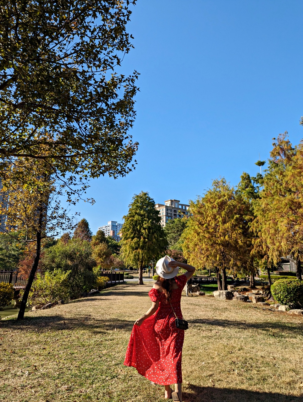 高雄落羽松景點，鼓山凹子底森林公園，體驗城市中的秘境療癒系散步路線
