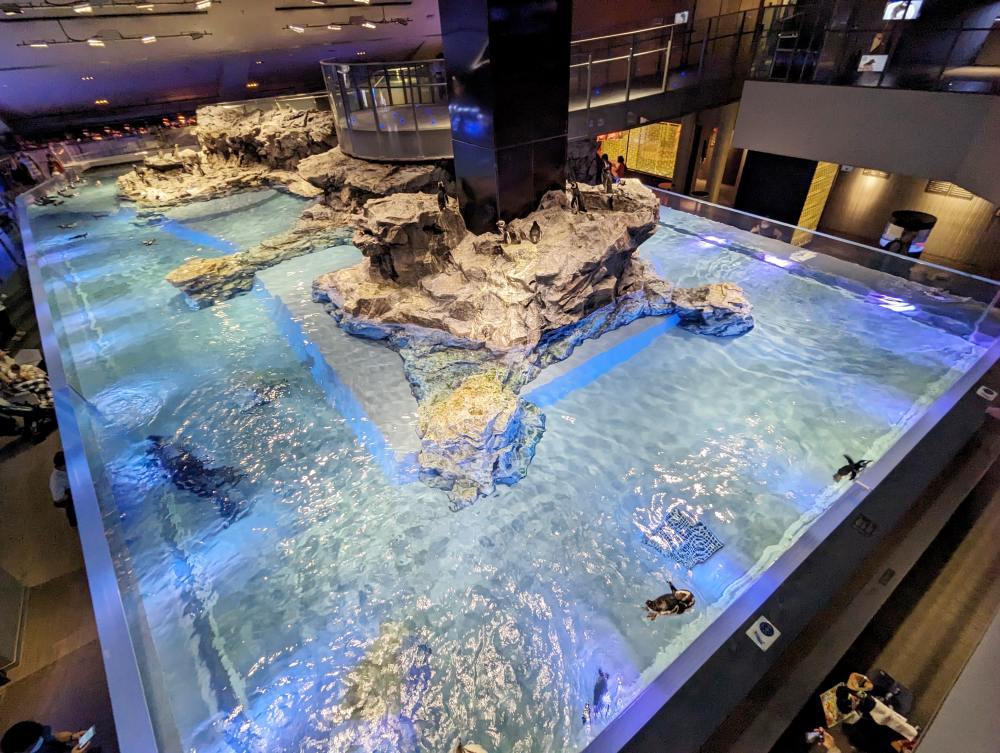 墨田水族館懶人攻略！咖啡廳、優惠門票及停留時間分享，在晴空塔內看療癒水母及小企鵝散步，東京室內親子景點推薦