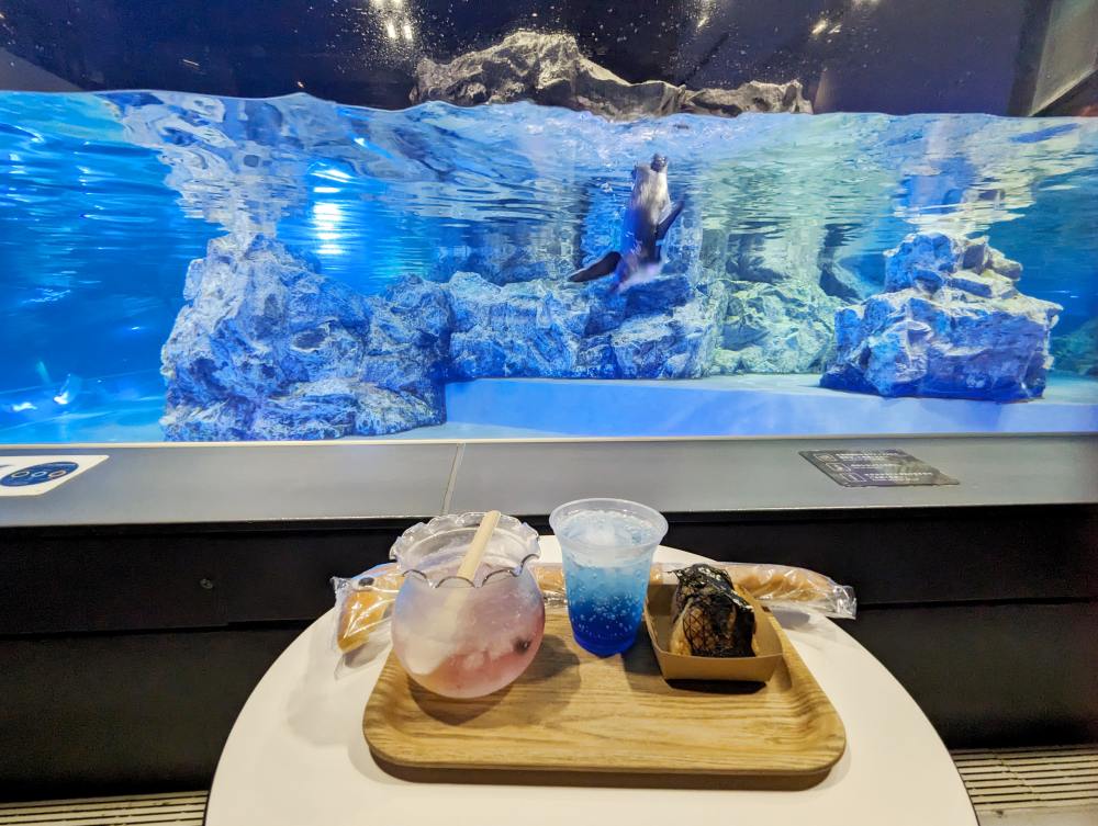墨田水族館懶人攻略！咖啡廳、優惠門票及停留時間分享，在晴空塔內看療癒水母及小企鵝散步，東京室內親子景點推薦