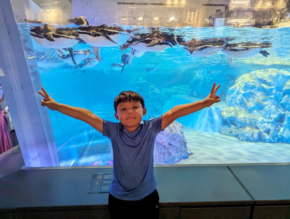 墨田水族館懶人攻略！咖啡廳、優惠門票及停留時間分享，在晴空塔內看療癒水母及小企鵝散步，東京室內親子景點推薦