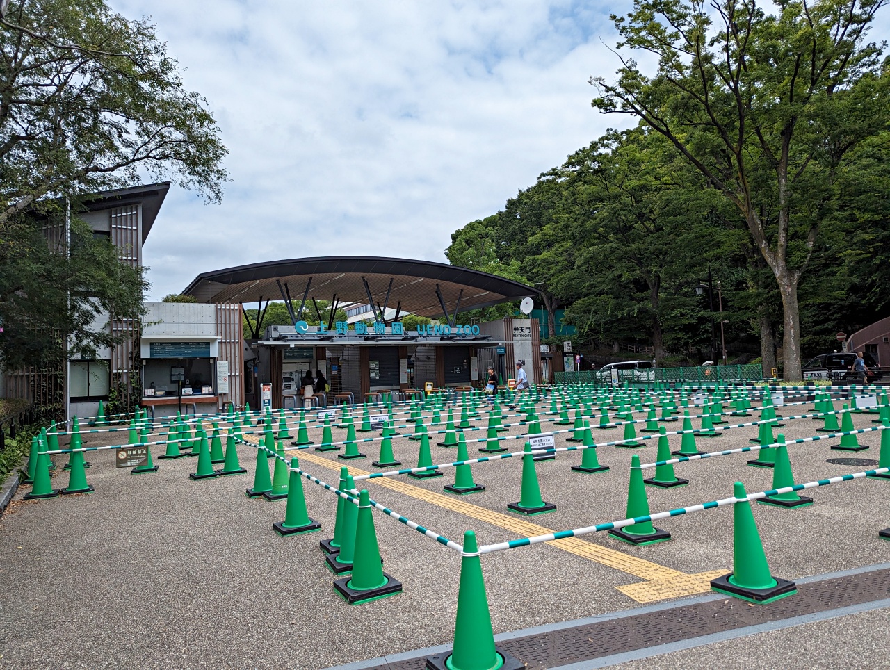 東京親子景點推薦｜超過140年歷史的上野動物園看熊貓北極熊，玩多久? 門票價格?親子出遊全攻略！