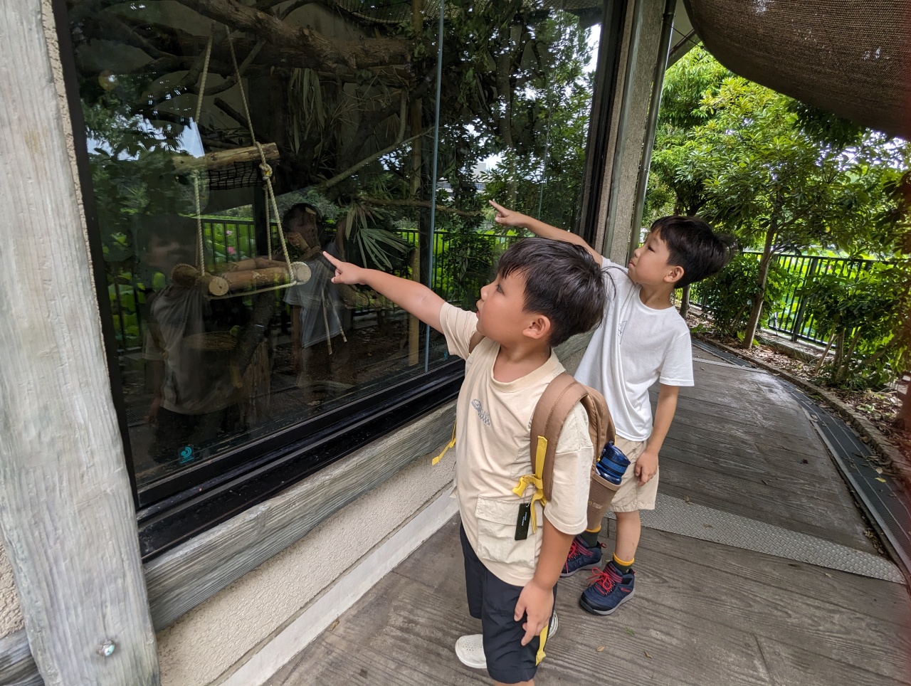 東京親子景點推薦｜超過140年歷史的上野動物園看熊貓北極熊，玩多久? 門票價格?親子出遊全攻略！
