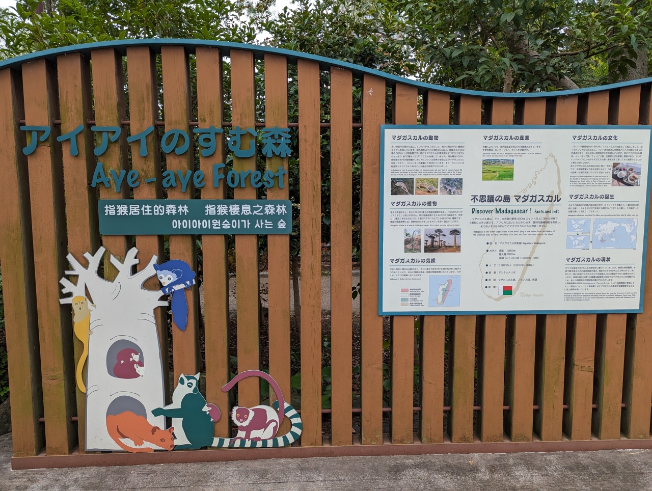 東京親子景點推薦｜超過140年歷史的上野動物園看熊貓北極熊，玩多久? 門票價格?親子出遊全攻略！