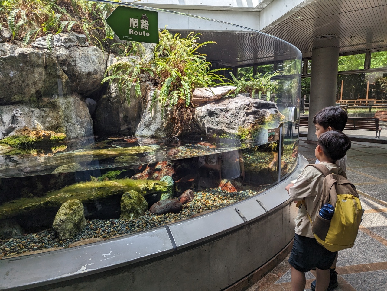 東京親子景點推薦｜超過140年歷史的上野動物園看熊貓北極熊，玩多久? 門票價格?親子出遊全攻略！