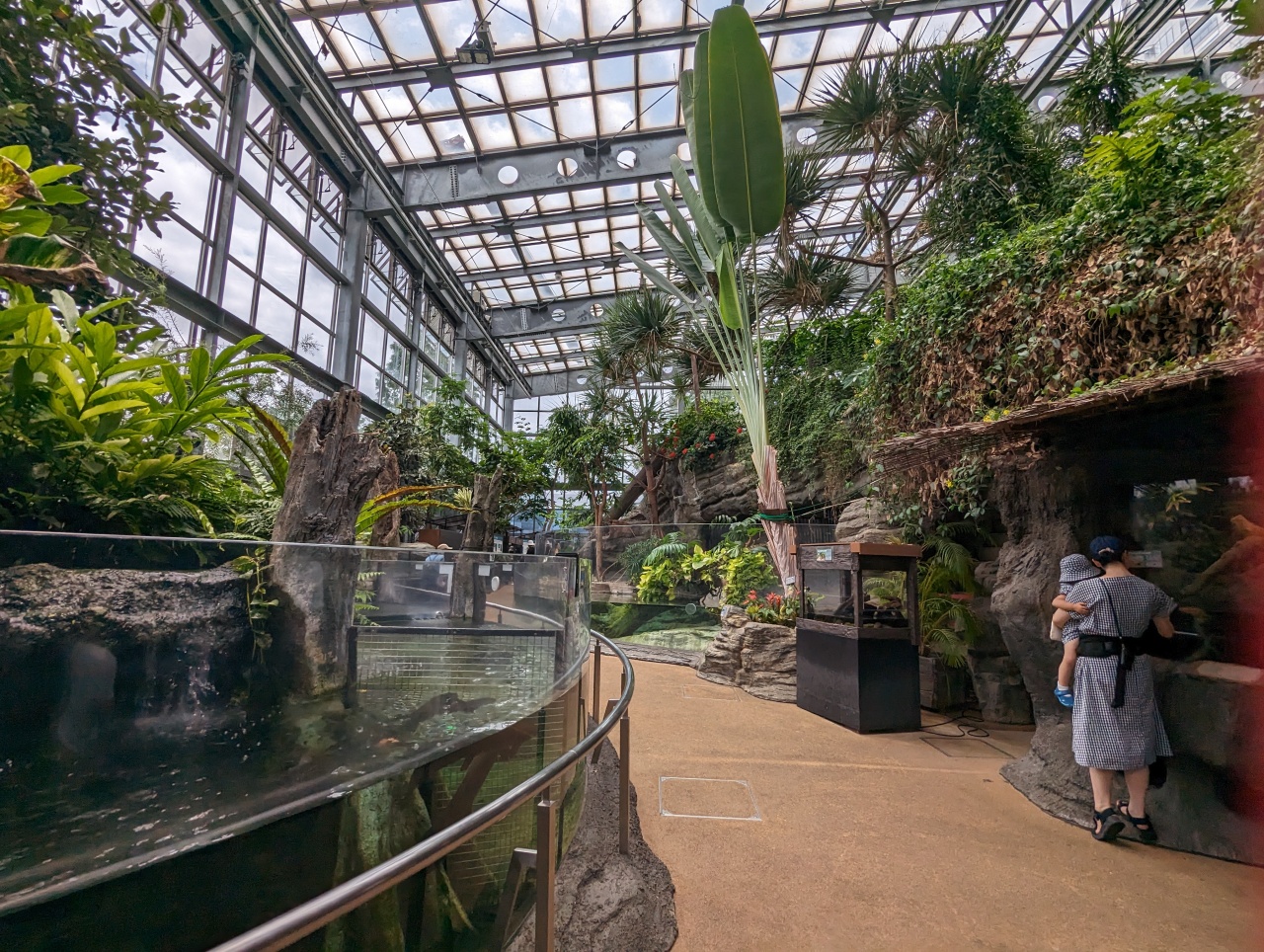 東京親子景點推薦｜超過140年歷史的上野動物園看熊貓北極熊，玩多久? 門票價格?親子出遊全攻略！
