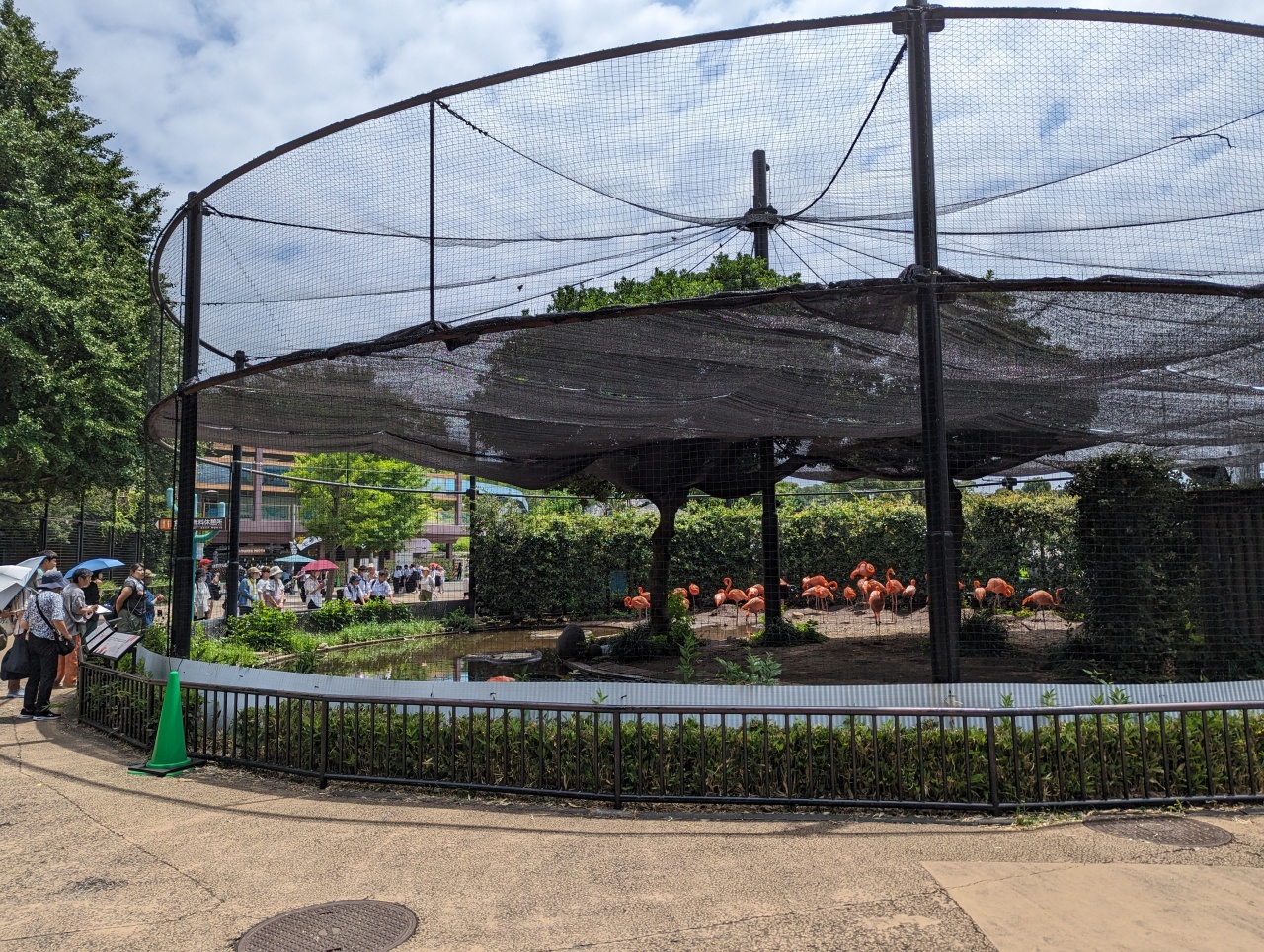 東京親子景點推薦｜超過140年歷史的上野動物園看熊貓北極熊，玩多久? 門票價格?親子出遊全攻略！