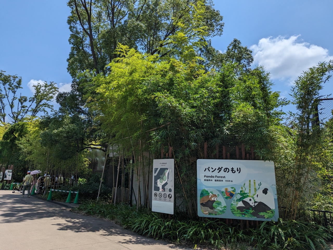 東京親子景點推薦｜超過140年歷史的上野動物園看熊貓北極熊，玩多久? 門票價格?親子出遊全攻略！