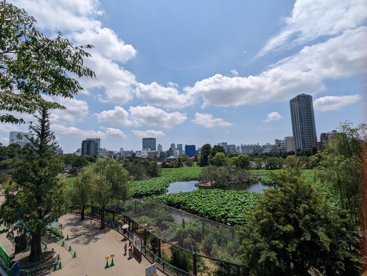 東京親子景點推薦｜超過140年歷史的上野動物園看熊貓北極熊，玩多久? 門票價格?親子出遊全攻略！