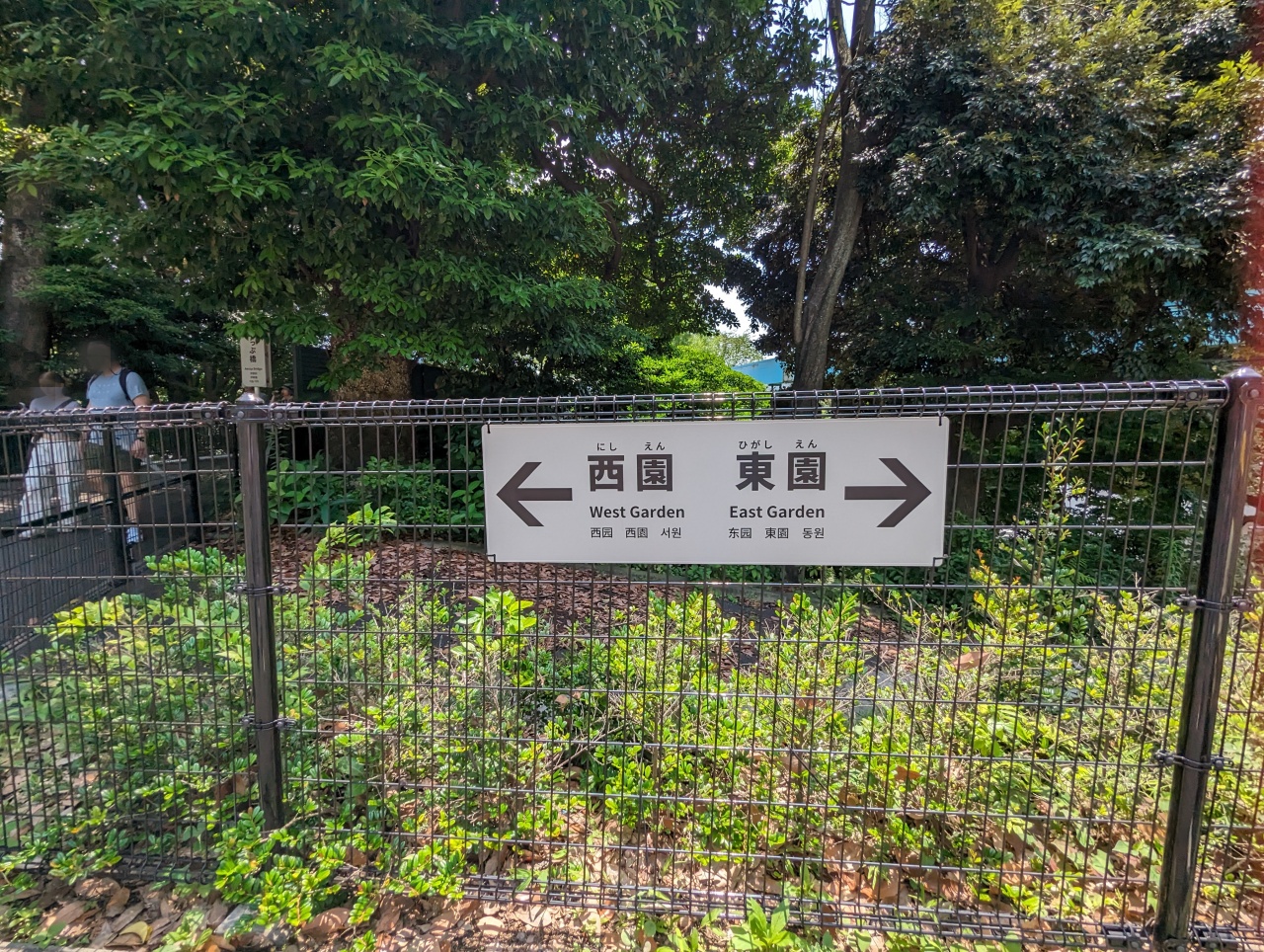 東京親子景點推薦｜超過140年歷史的上野動物園看熊貓北極熊，玩多久? 門票價格?親子出遊全攻略！
