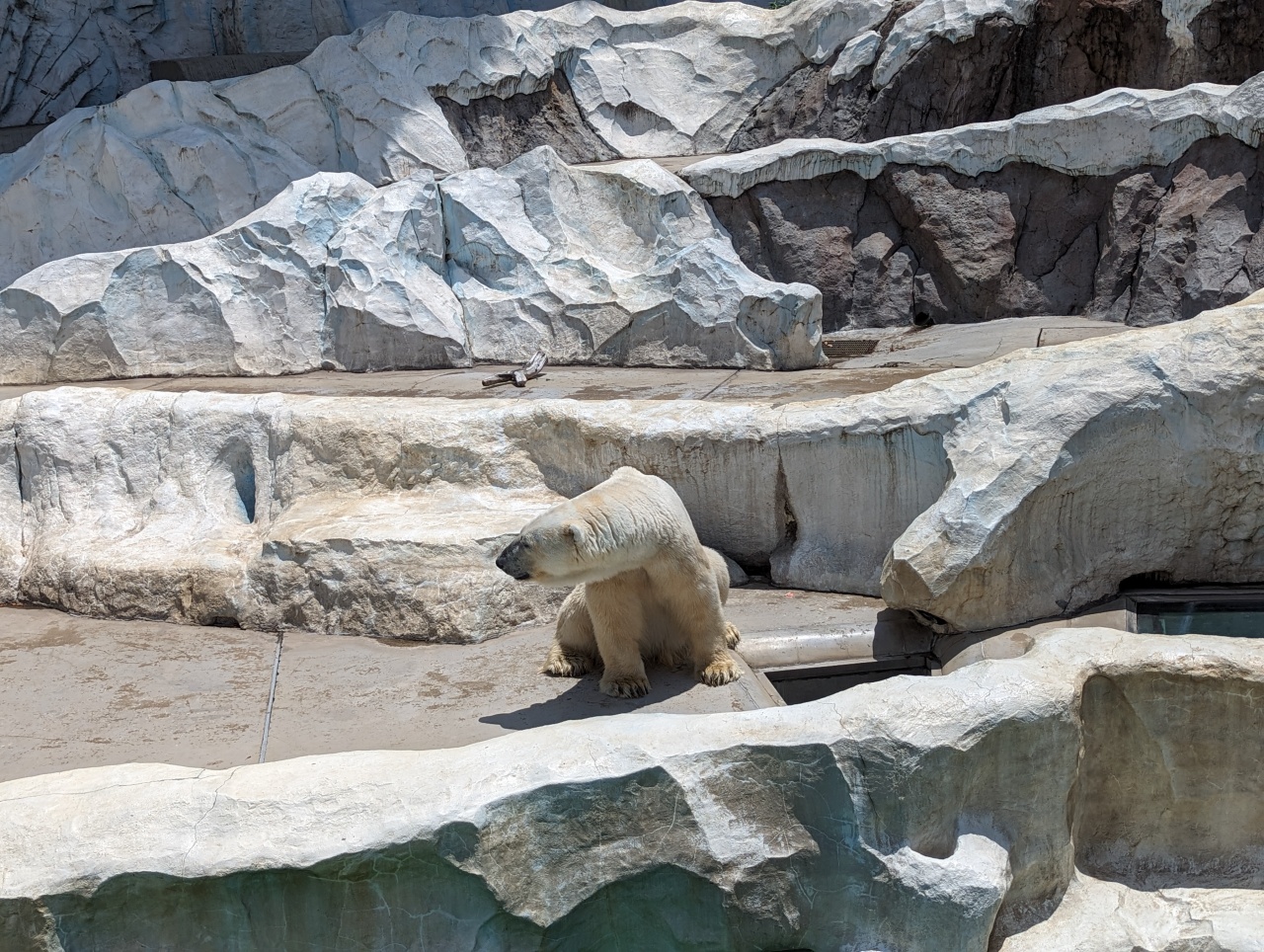 東京親子景點推薦｜超過140年歷史的上野動物園看熊貓北極熊，玩多久? 門票價格?親子出遊全攻略！
