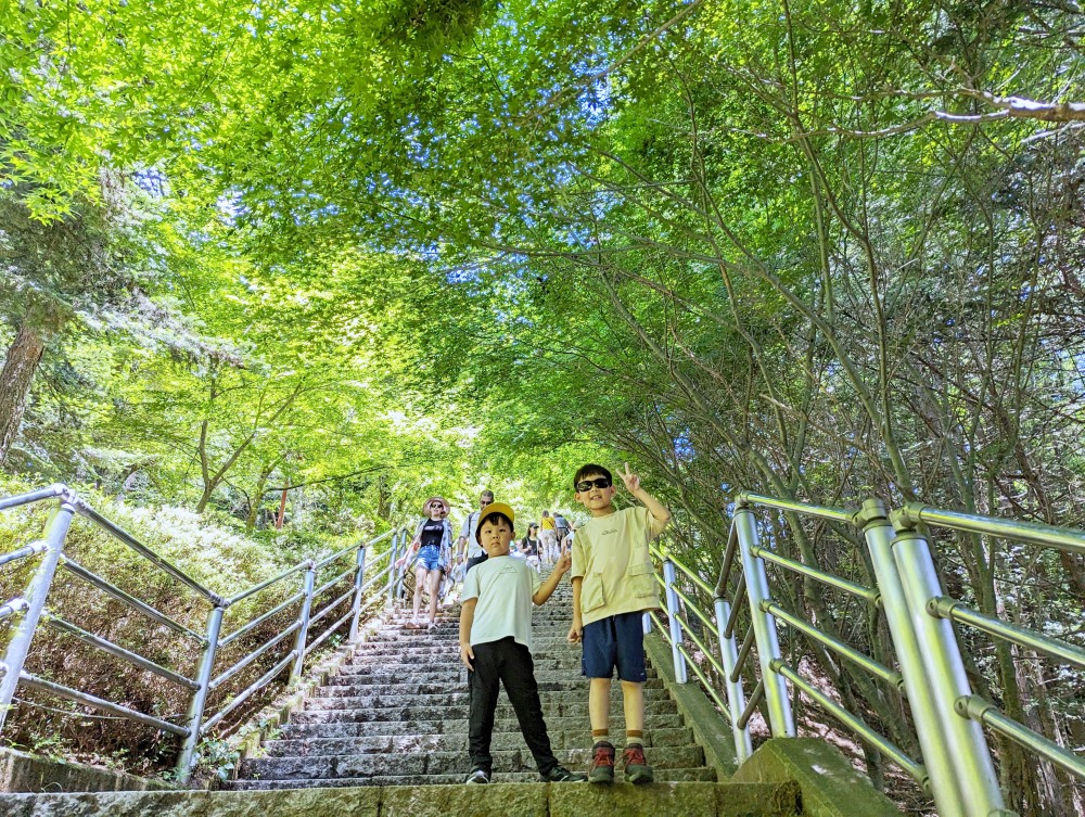 新倉富士淺間神社及忠靈塔，世界知名拍富士山的角度！河口湖必去免費景點，分享停車交通資訊