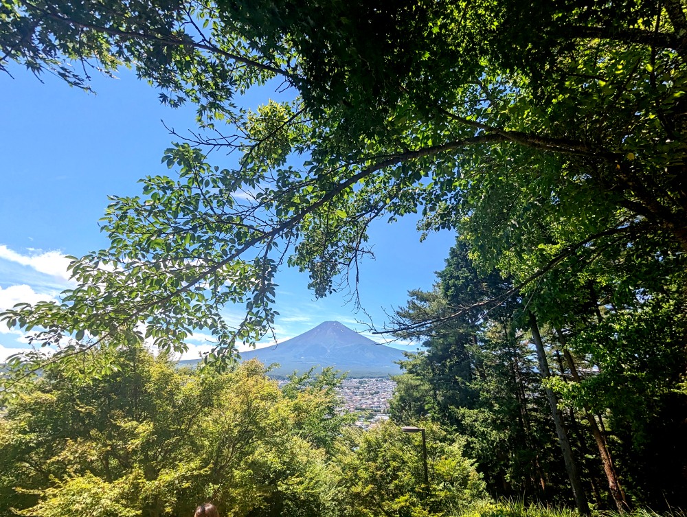 新倉富士淺間神社及忠靈塔，世界知名拍富士山的角度！河口湖必去免費景點，分享停車交通資訊