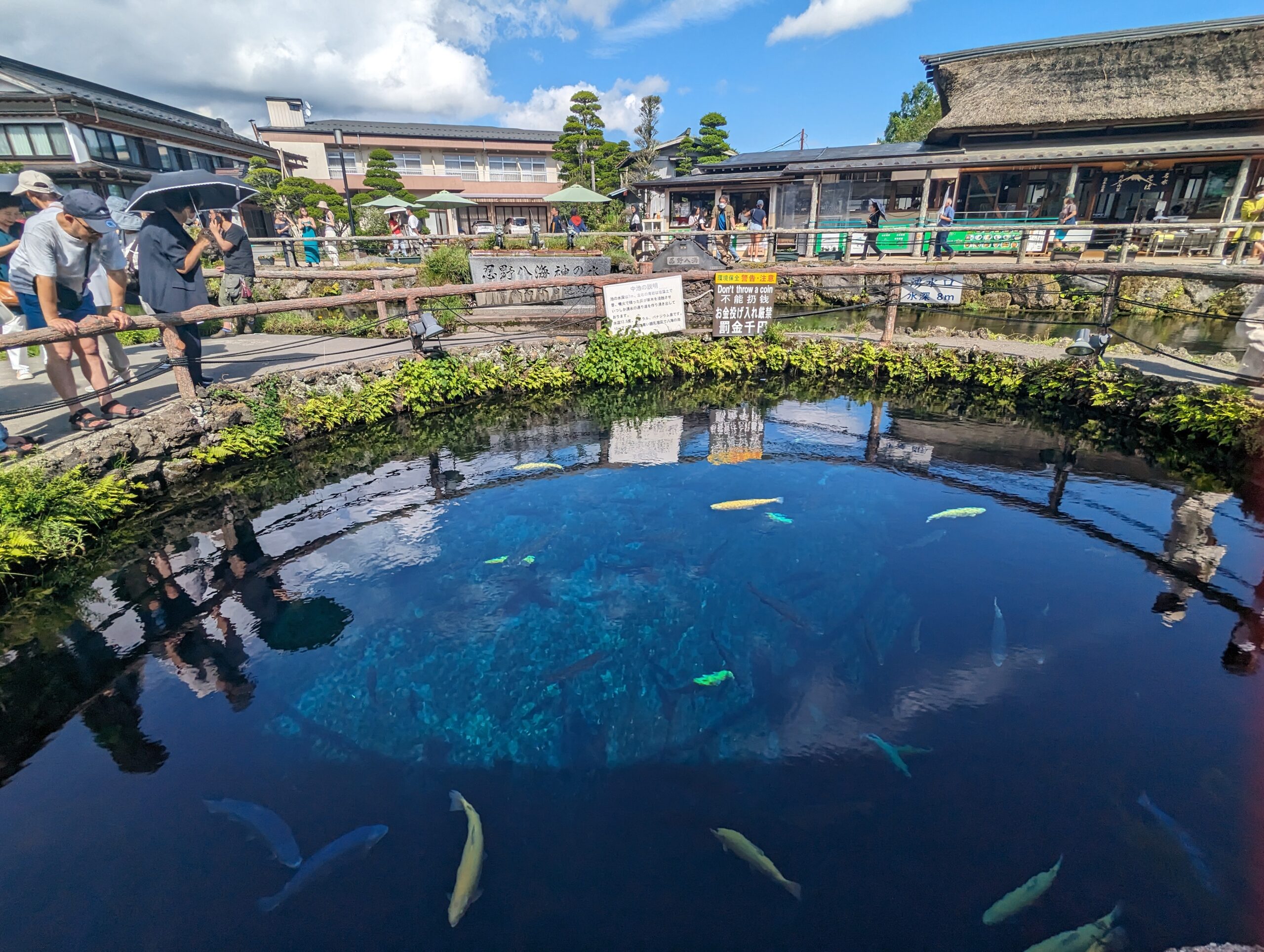 山梨縣河口湖必去景點，忍野八海一日遊，富士山腳下的清澈湧泉秘境＋現烤香Q草餅，分享交通與停留時間
