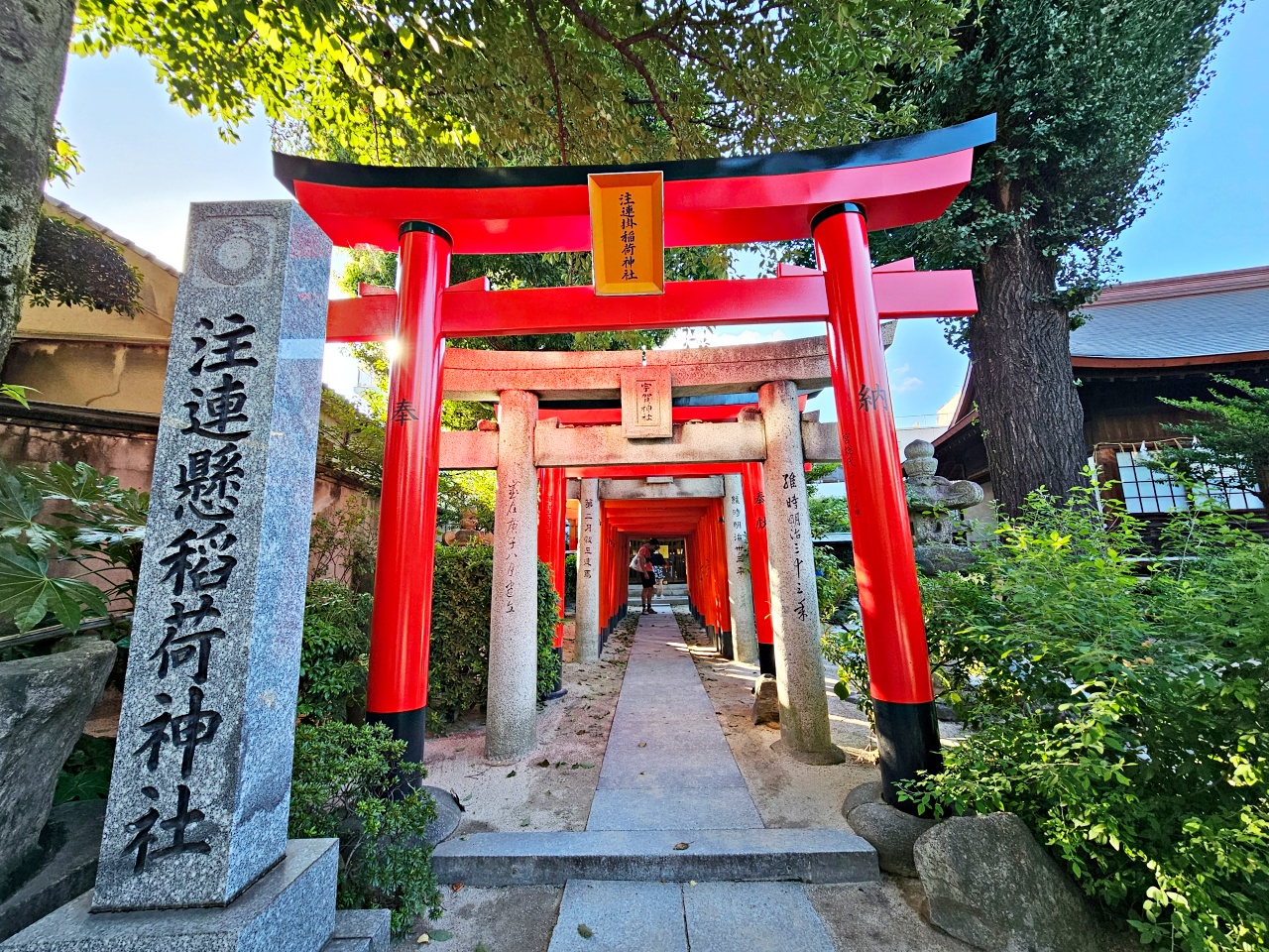 【福岡免費景點】櫛田神社欣賞千年銀杏、靈驗臥牛、博多祇園山笠、喝起來鹹鹹的仙鶴手水舍