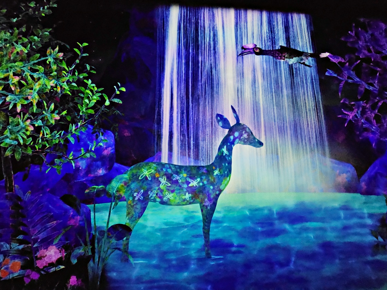 福岡teamlab魔幻森林主題打卡好拍又好玩！交通、門票、參觀動線、停留時間、附近景點