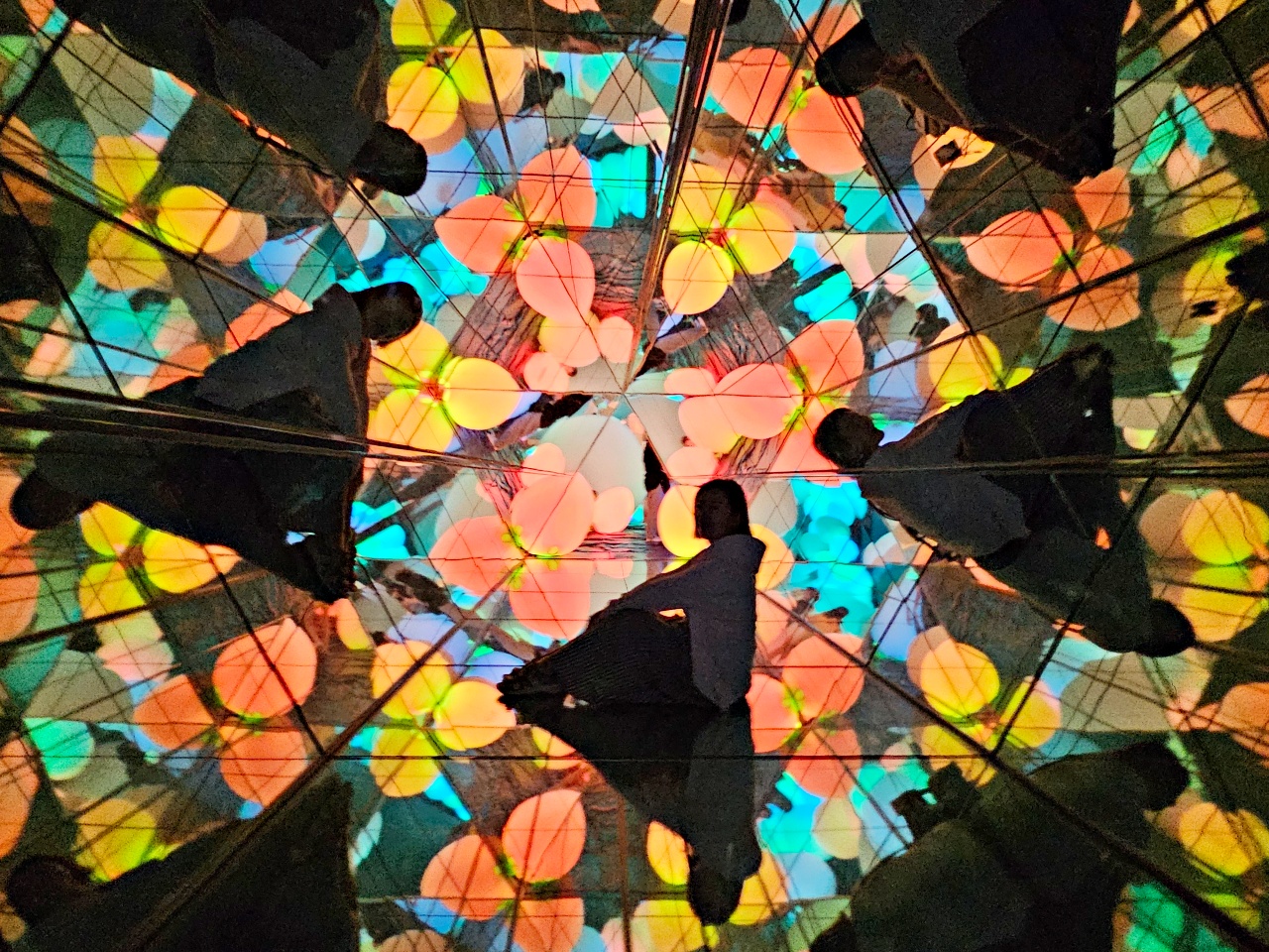 福岡teamlab魔幻森林主題打卡好拍又好玩！交通、門票、參觀動線、停留時間、附近景點