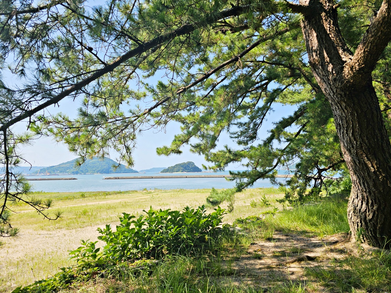 九州佐賀景點推薦｜搭電梯登上百年唐津城，日本100名城，交通資訊、票價、參觀心得、附近景點與美食