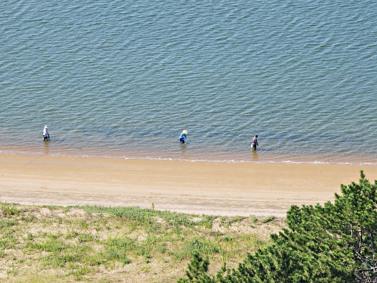 九州佐賀景點推薦｜搭電梯登上百年唐津城，日本100名城，交通資訊、票價、參觀心得、附近景點與美食