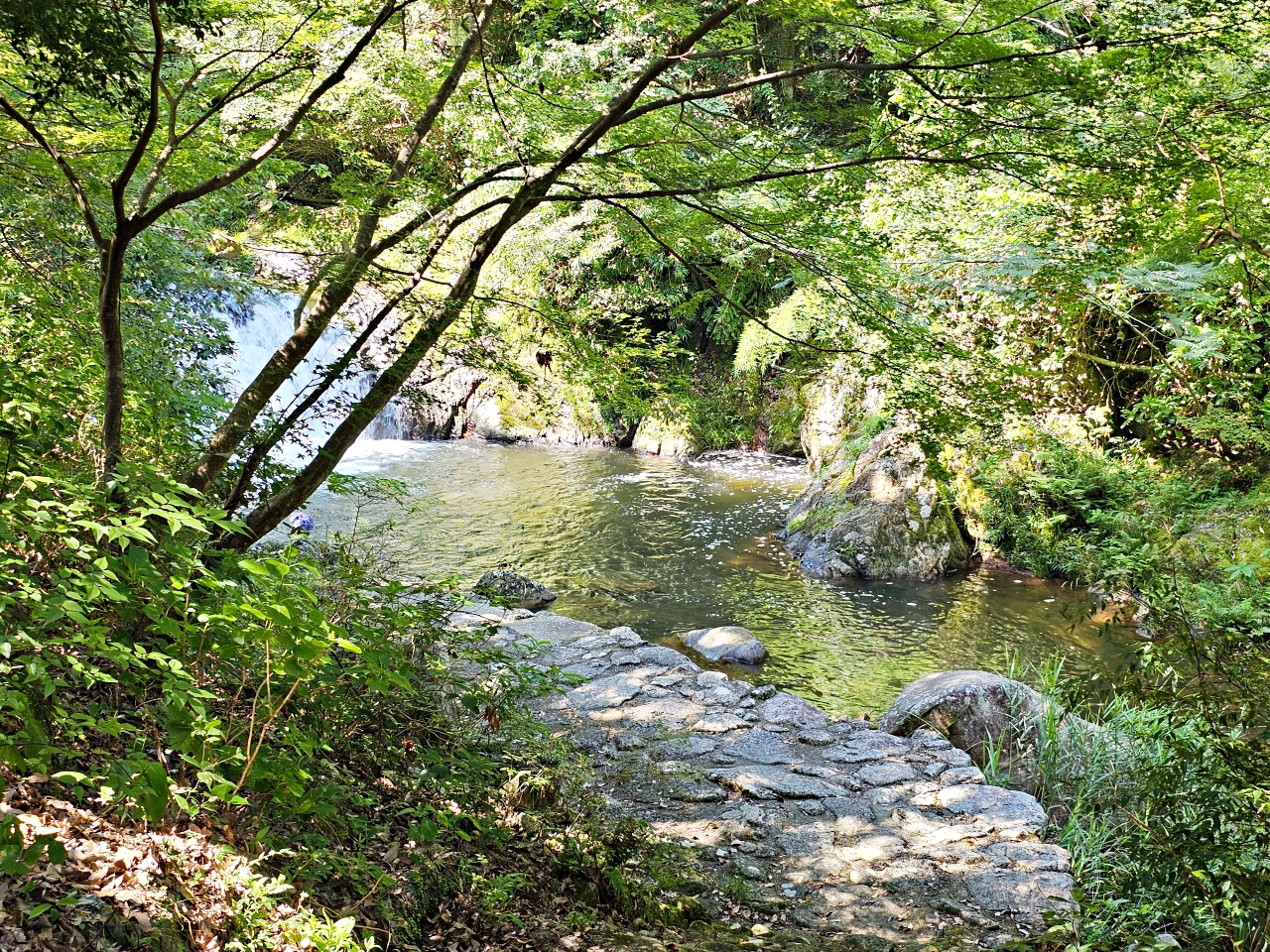 九州佐賀唐津景點，見歸瀑布好消暑！日本瀑布百選之一，與孩子一同感受森林與瀑布的清涼