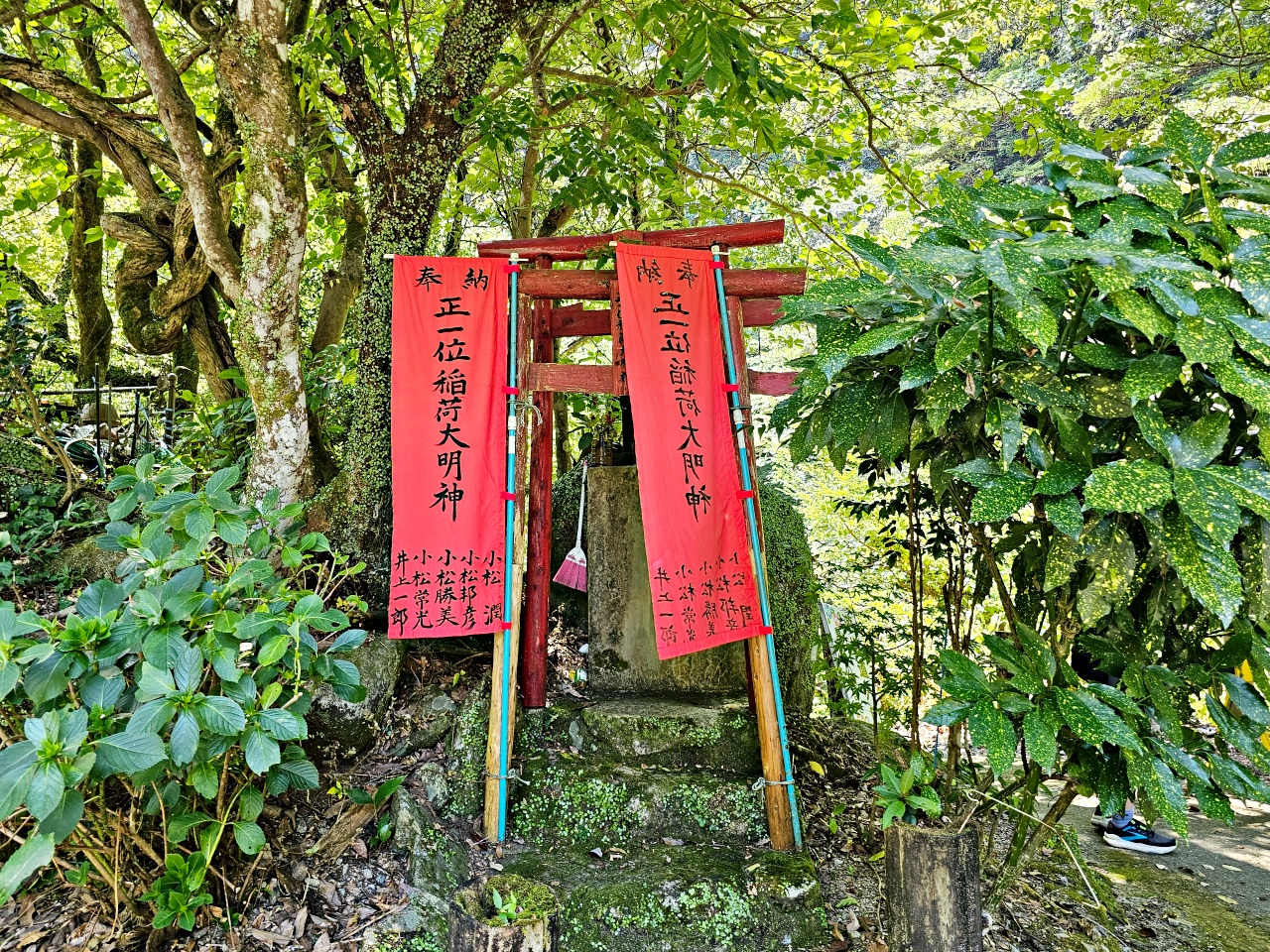 九州佐賀唐津景點，見歸瀑布好消暑！日本瀑布百選之一，與孩子一同感受森林與瀑布的清涼