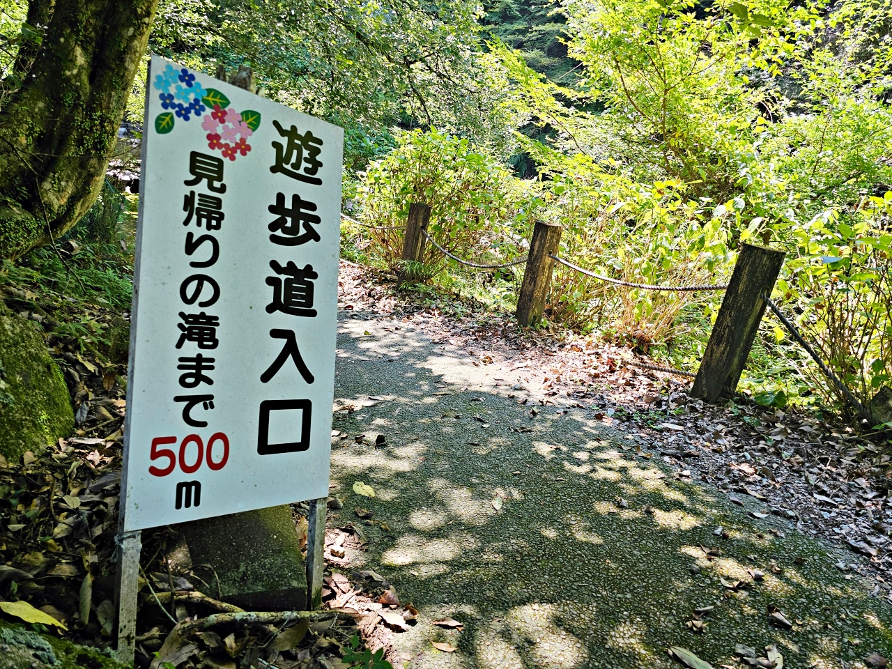 九州佐賀唐津景點，見歸瀑布好消暑！日本瀑布百選之一，與孩子一同感受森林與瀑布的清涼