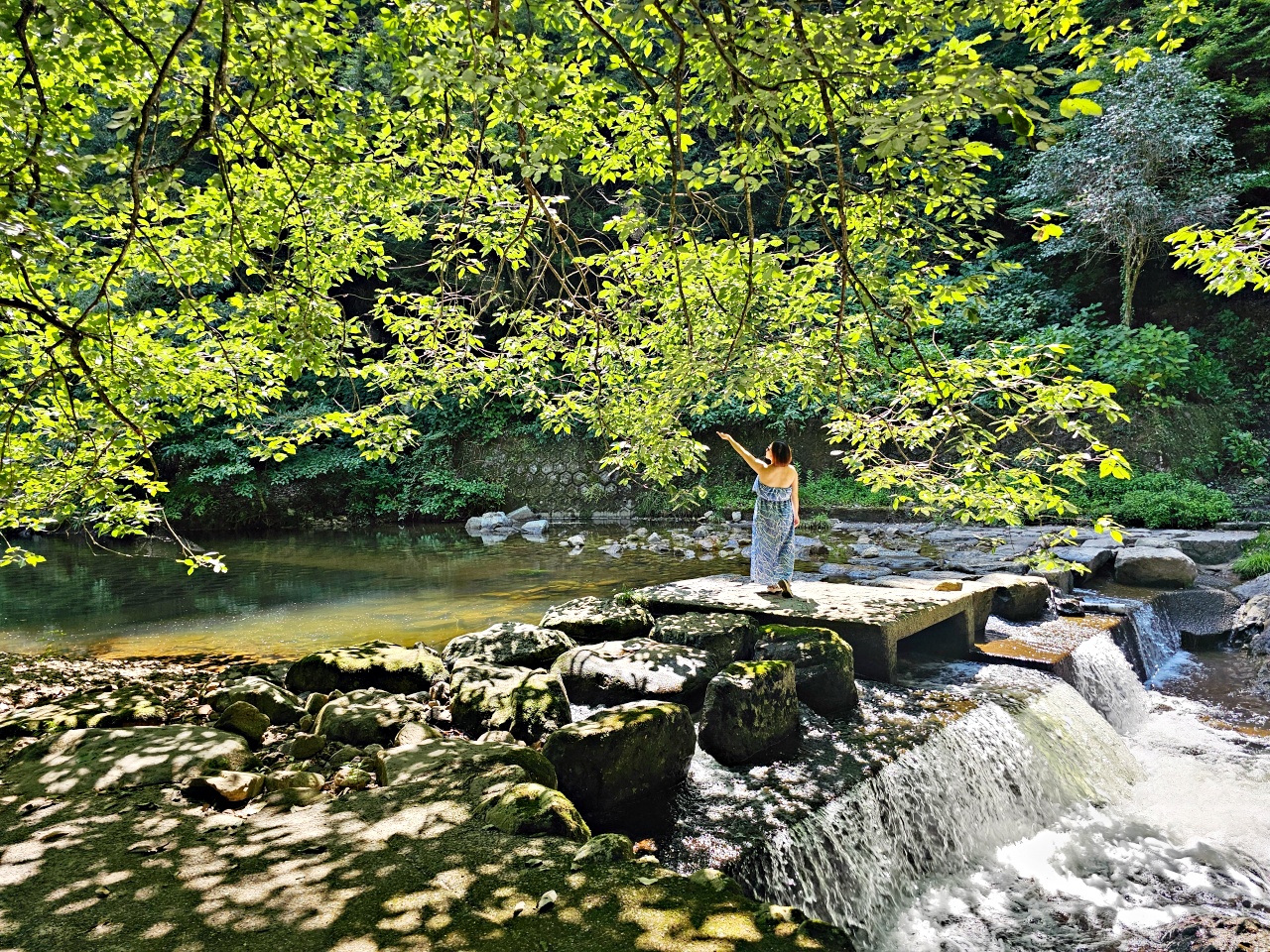 九州佐賀唐津景點，見歸瀑布好消暑！日本瀑布百選之一，與孩子一同感受森林與瀑布的清涼