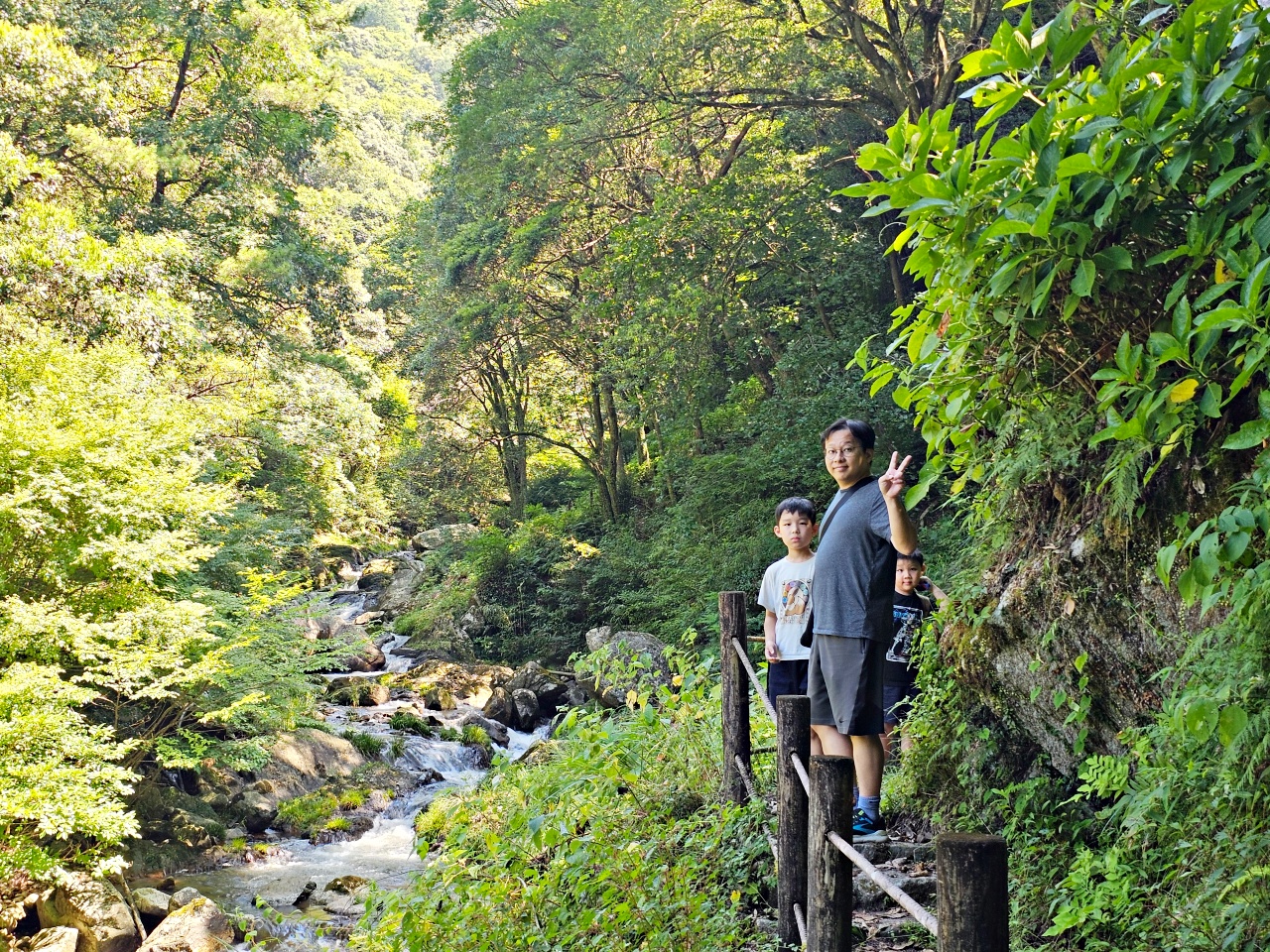 九州佐賀唐津景點，見歸瀑布好消暑！日本瀑布百選之一，與孩子一同感受森林與瀑布的清涼