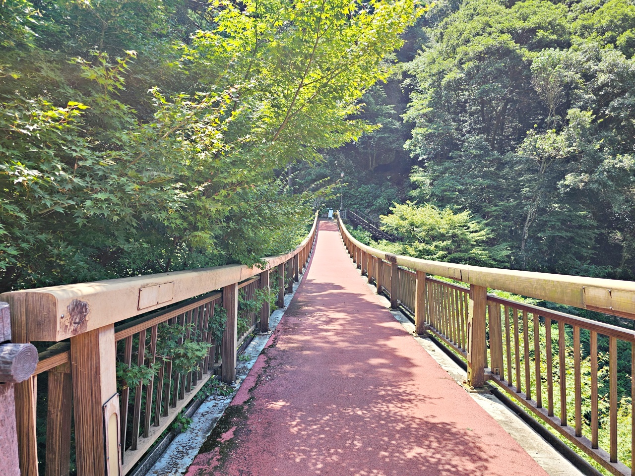 九州佐賀唐津景點，見歸瀑布好消暑！日本瀑布百選之一，與孩子一同感受森林與瀑布的清涼