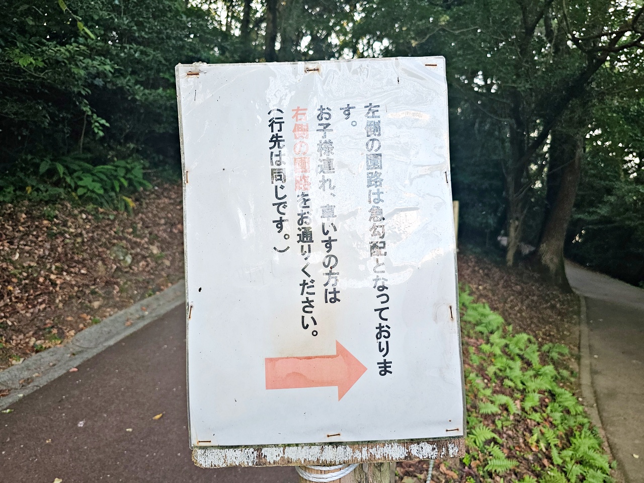 佐賀唐津免費景點推薦，鏡山展望台欣賞唐津城、虹之松原，夕陽時刻來更浪漫，日本三大悲戀之一「松浦佐用姬」的傳說地