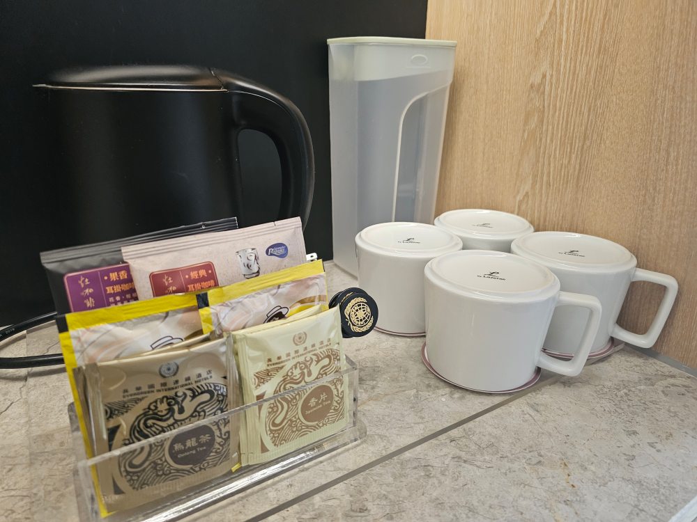 長榮文苑酒店嘉義評價，嘉義五星級親子飯店，遊戲室、電動車、故宮南院、無邊際泳池，豐盛自助餐早餐