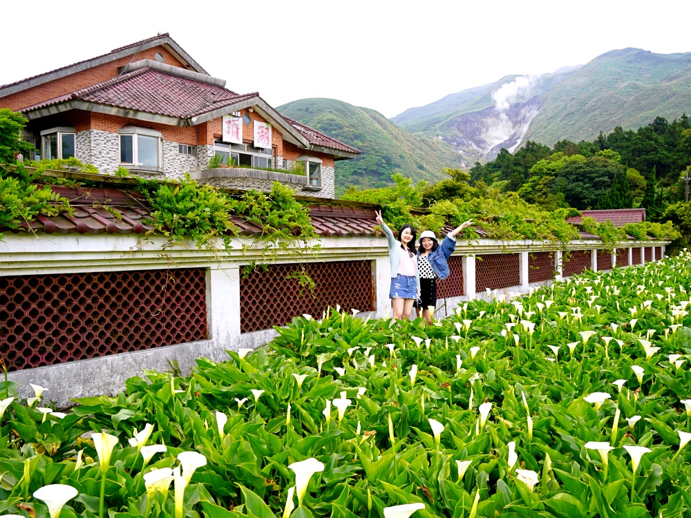 台北市陽明山土雞餐廳推薦｜頂湖小鎮陽明山竹子湖美食土雞，紫藤花季必訪，消費$200可抵停車 米粉湯免費招待～