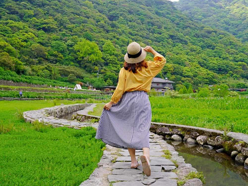陽明山步道推薦| 陽明山竹子湖踏青,輕鬆好走的頂湖步道,海芋季節賞花、遠望小油坑~ 陽明山步道推薦| 陽明山竹子湖踏青,輕鬆好走的頂湖步道,海芋季節賞花、遠望小油坑~