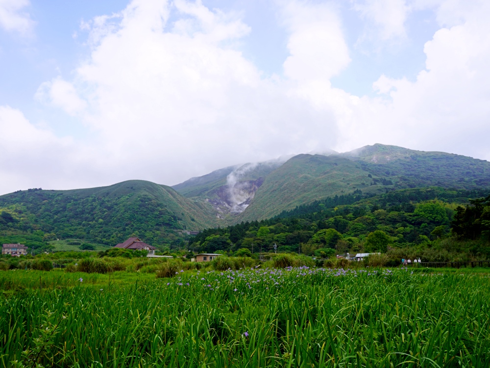 陽明山步道推薦| 陽明山竹子湖踏青,輕鬆好走的頂湖步道,海芋季節賞花、遠望小油坑~ 陽明山步道推薦| 陽明山竹子湖踏青,輕鬆好走的頂湖步道,海芋季節賞花、遠望小油坑~