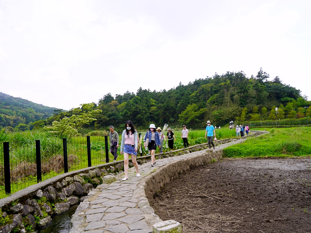 陽明山步道推薦| 陽明山竹子湖踏青,輕鬆好走的頂湖步道,海芋季節賞花、遠望小油坑~ 陽明山步道推薦| 陽明山竹子湖踏青,輕鬆好走的頂湖步道,海芋季節賞花、遠望小油坑~