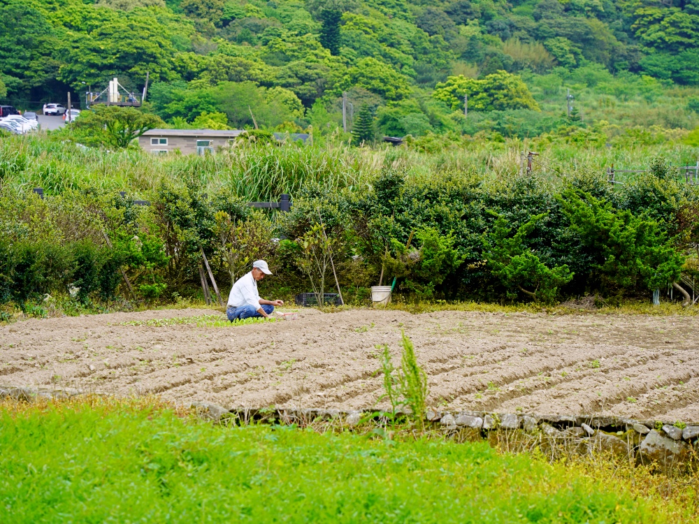 陽明山步道推薦| 陽明山竹子湖踏青,輕鬆好走的頂湖步道,海芋季節賞花、遠望小油坑~ 陽明山步道推薦| 陽明山竹子湖踏青,輕鬆好走的頂湖步道,海芋季節賞花、遠望小油坑~