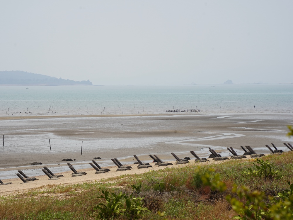 金門旅遊免費景點「慈湖落日觀海平台」賞夕陽，戰車咖啡廳，充滿金門戰地風情的必遊景點