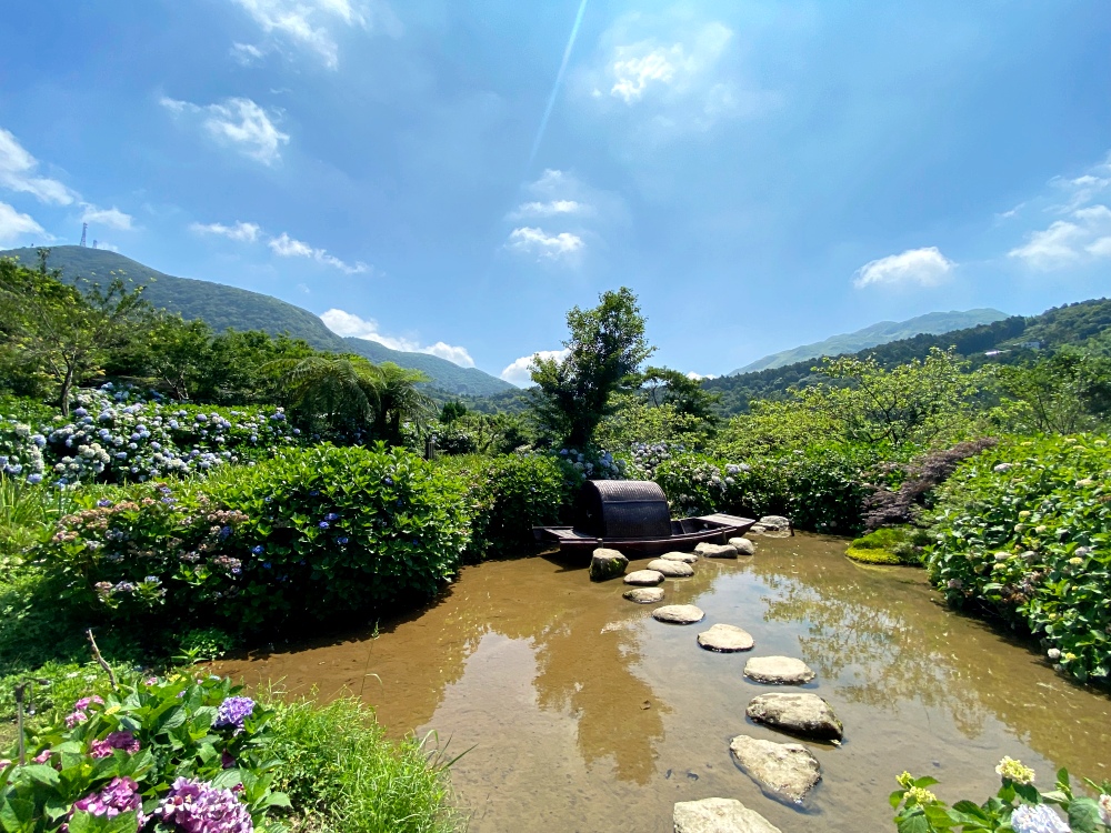 陽明山繡球花季賞花景點推薦 竹子湖「花與樹繡球花田」最新門票資訊！5/25開放入園～門票$150可抵消費，超好拍繡球花田～