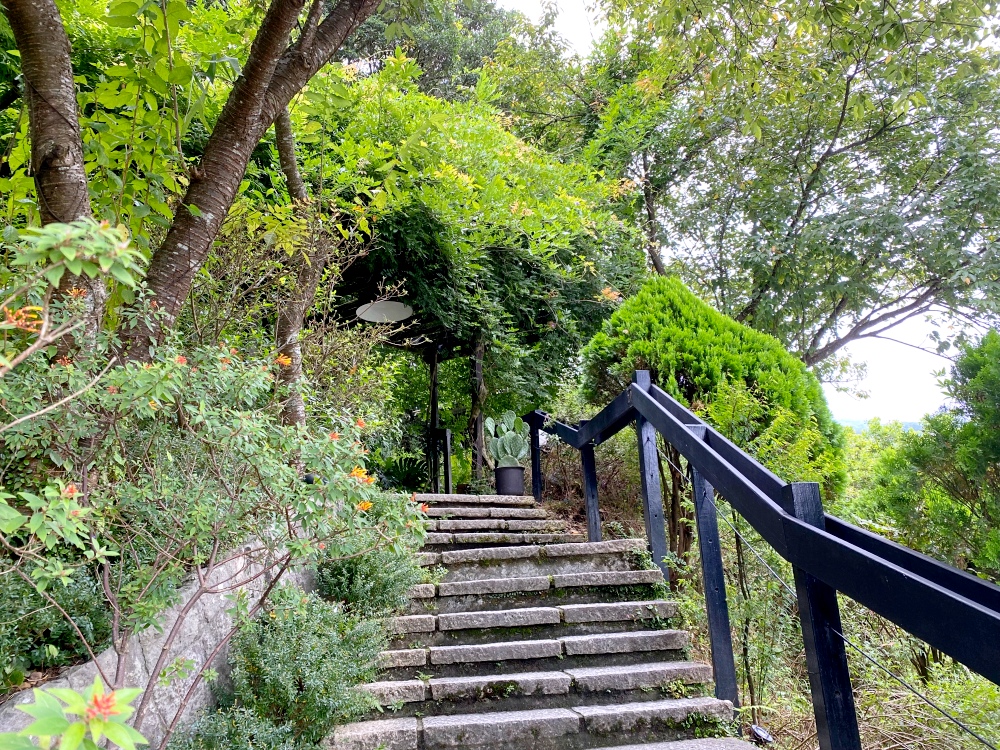 台北陽明山咖啡廳推薦｜ 綠意叢生的「野人花園」森林系療癒咖啡廳，鬆弛感十足，適合約會的浪漫空間，盆栽控必訪網美咖啡廳～